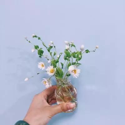 仙侣绝情剑破解版下载